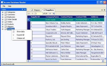 Access Viewer screenshot