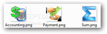 Accounting Toolbar Icons screenshot
