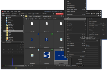 ACDSee Pro screenshot 2