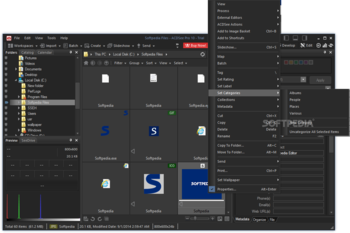 ACDSee Pro screenshot 3