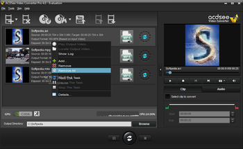ACDSee Video Converter Pro screenshot
