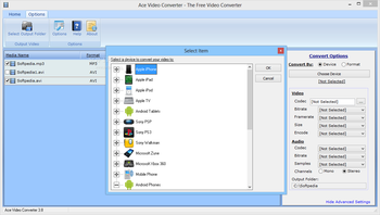 Ace Video Converter screenshot 2