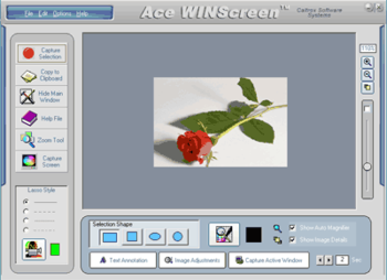 Ace WINScreen screenshot