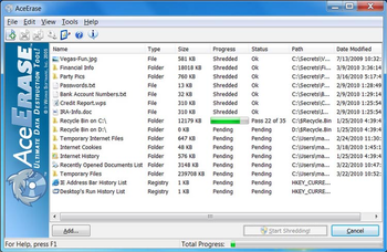 AceErase File Shredder History Eraser screenshot