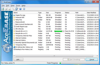 AceErase File Shredder History Eraser screenshot 2
