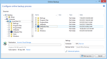 Acronis Small Office: Server Cloud Backup screenshot 6
