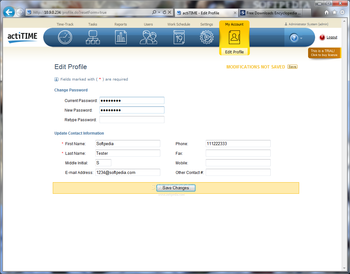 actiTIME Extended screenshot 18