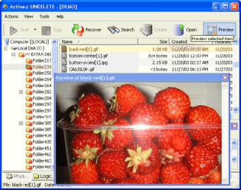 Active@ UNDELETE screenshot 3