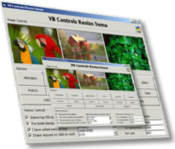 ActiveResize Control Professional screenshot 2