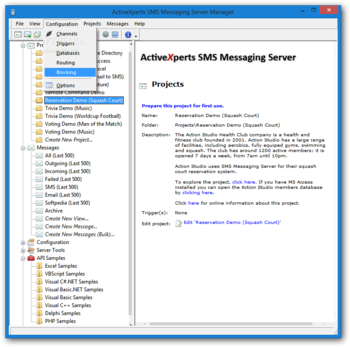 ActiveXperts SMS Messaging Server screenshot 3