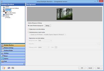 Actual Multiple Monitors screenshot 4
