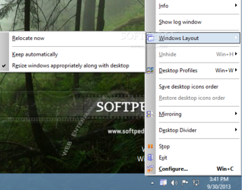 Actual Window Manager screenshot