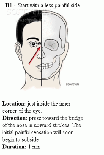 Acupressure Guide screenshot