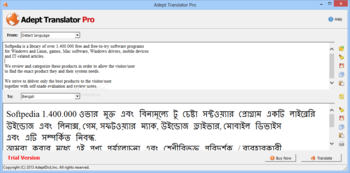 Adept Translator Pro screenshot