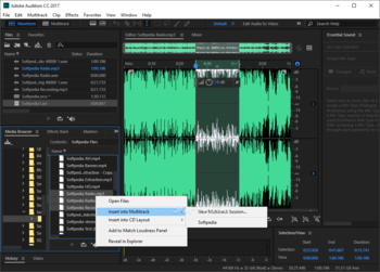 Adobe Audition screenshot 2