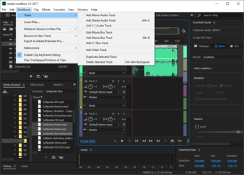 Adobe Audition screenshot 8