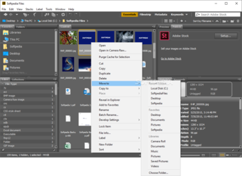 Adobe Bridge screenshot 2