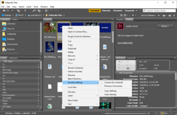 Adobe Bridge screenshot 3