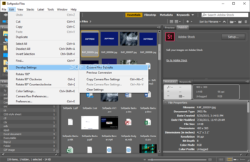 Adobe Bridge screenshot 5
