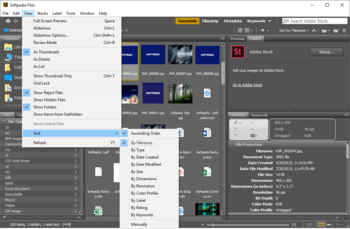 Adobe Bridge screenshot 6