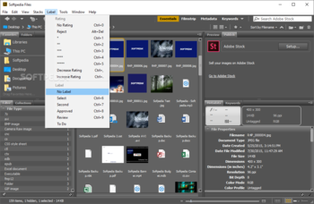 Adobe Bridge screenshot 8