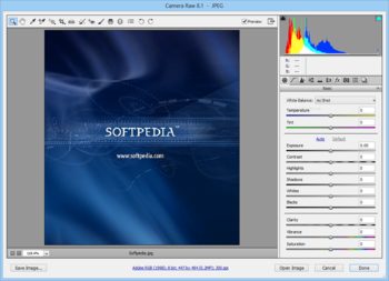 Adobe Camera Raw screenshot
