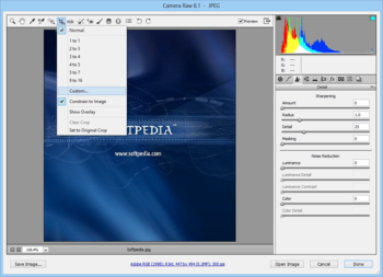 Adobe Camera Raw screenshot 3