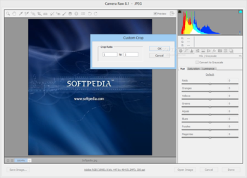 Adobe Camera Raw screenshot 4