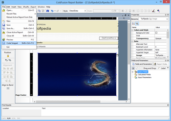 Adobe ColdFusion Report Builder screenshot 2