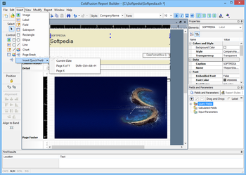 Adobe ColdFusion Report Builder screenshot 3