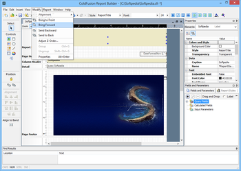 Adobe ColdFusion Report Builder screenshot 4
