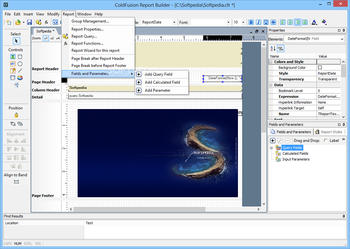 Adobe ColdFusion Report Builder screenshot 5