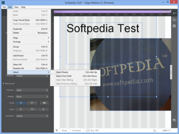 Adobe Edge Reflow screenshot 4