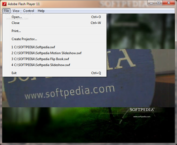 Adobe Flash Player Debugger screenshot 2