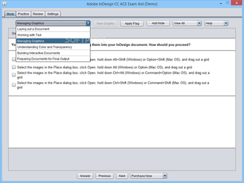 Adobe InDesign CC ACE Exam Aid screenshot 2