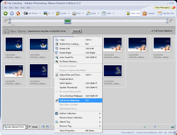 Adobe Photoshop Album Starter Edition screenshot 3