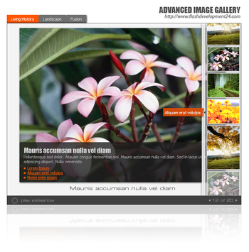 Advanced Image Gallery by FD24 screenshot