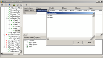 Advanced Localizer screenshot