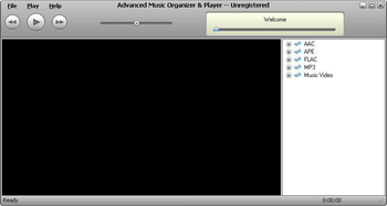 Advanced Music Organizer screenshot