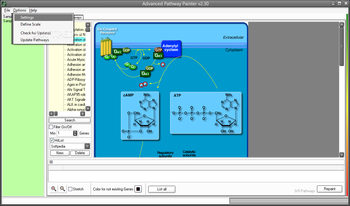 Advanced Pathway Painter screenshot 4