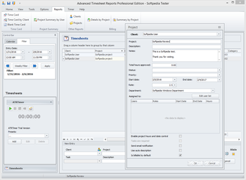 Advanced Time Reports Professional screenshot 5