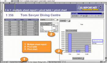 AfalinaSoft XL Report.NET screenshot 3