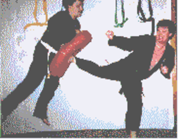 Affiliate Package for Solo Martial Arts screenshot