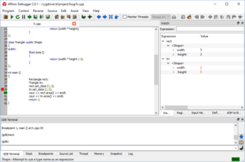 Affinic Debugger screenshot 2