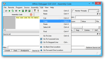 Affinic Debugger GUI screenshot 6