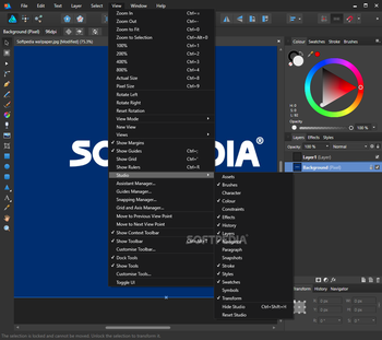 Affinity Designer screenshot 11