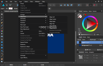 Affinity Designer screenshot 9