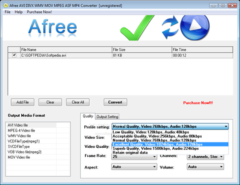 Afree AVI DIVX WMV MOV MPEG ASF MP4 Converter screenshot