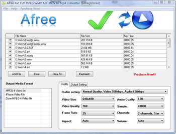 Afree AVI FLV MPEG WMV to MP4 Converter screenshot
