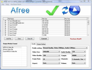 Afree AVI FLV MPEG WMV to MP4 Converter screenshot 2